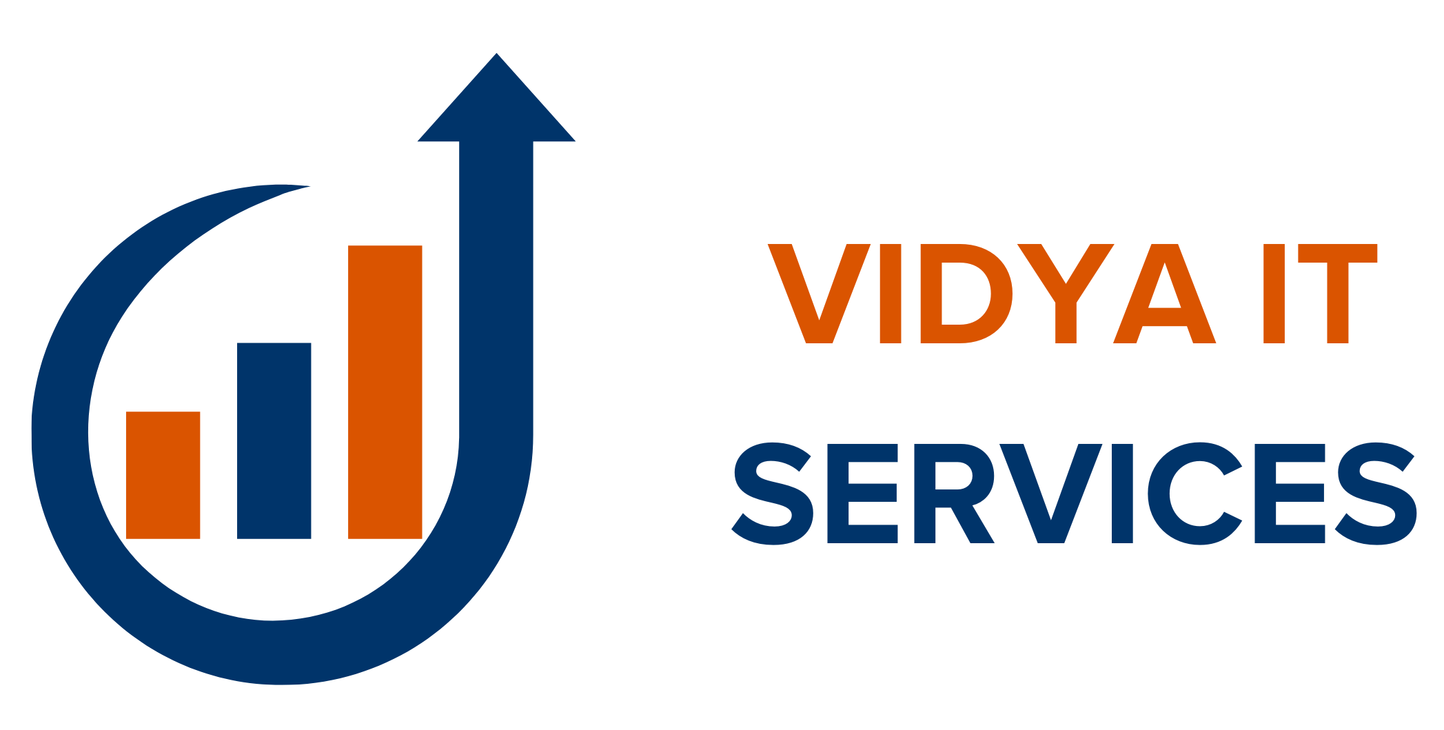 Vidya IT Services