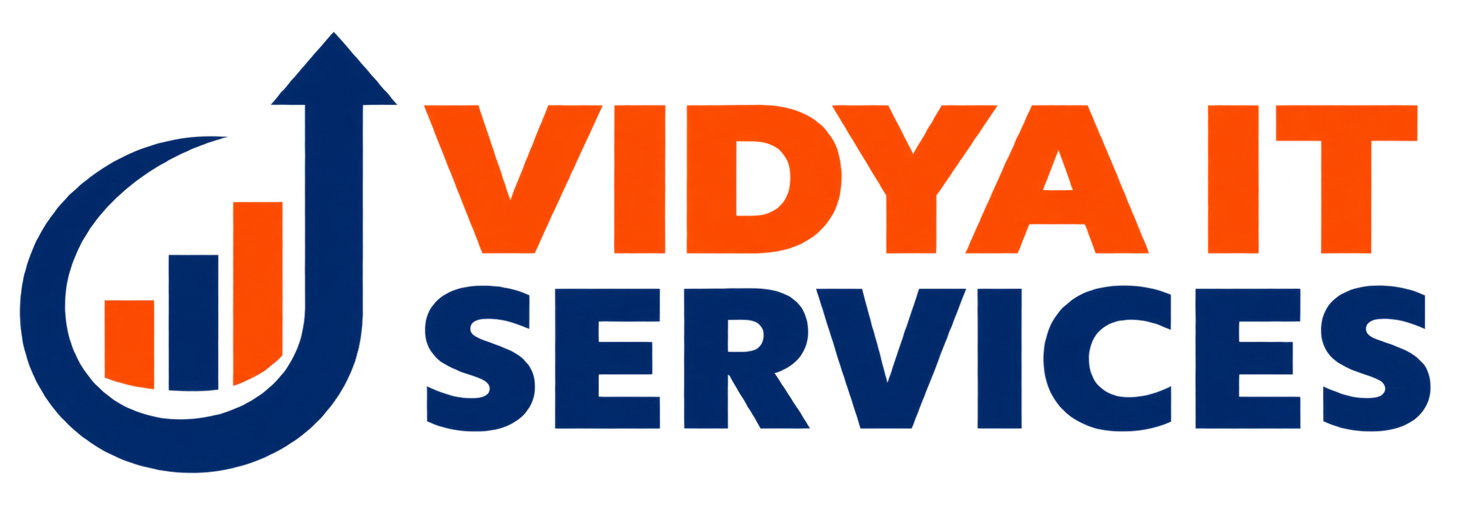 Vidya IT Services